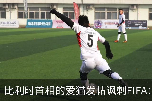 比利时首相的爱猫发帖讽刺FIFA：“红牌？”我照样继续踢！